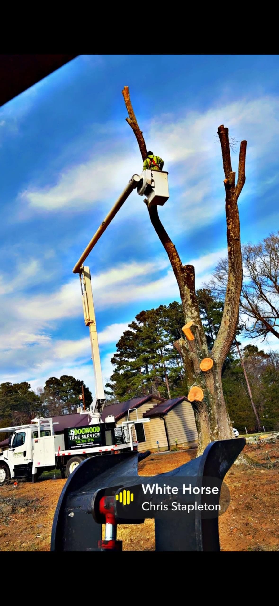 Bucket truck crew removing a large tree on a residential property — January 2026